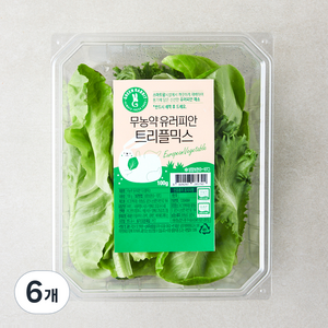 그린래빗 무농약 인증 유러피안 트리플믹스 샐러드, 100g, 6개