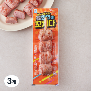 대림선 한입에 꼬치다, 90g, 3개