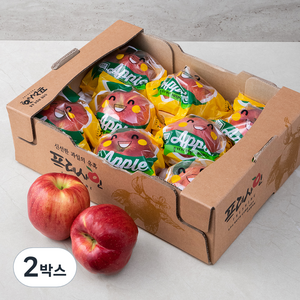 프레샤인 GAP 인증 당도선별 충주 세척 사과, 2kg(중과), 2박스