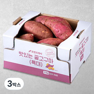 맛있는 꿀고구마, 3kg(특대), 3박스