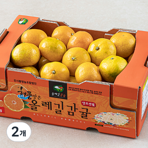 해풍맞은 올레길 Ai선별 당도선별 11bix 감귤, 2kg(로열과), 2개