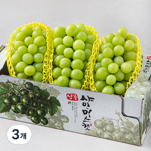 산농 상주 샤인머스캣, 2.2kg(3~4수), 3개