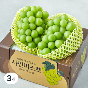 한들 당도선별 샤인머스캣, 3개, 1.5kg