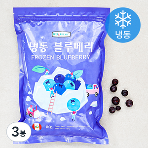 웰프레쉬 냉동 페루산 블루베리 (냉동), 1kg, 3봉