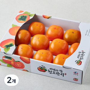 효성팜 청도반시, 1.5kg(9~12입), 2개