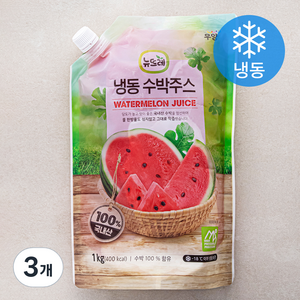 뉴뜨레 수박 주스 (냉동), 1kg, 3개