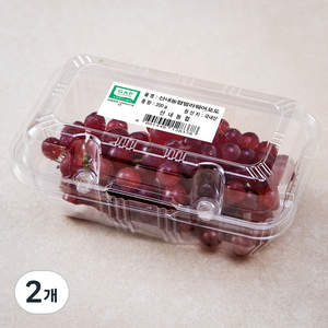 산내농협 GAP 델라웨어 포도, 200g, 2개