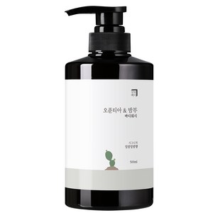 살림백서 오푼티아 앤 밤부 바디워시 일랑일랑향, 1개, 500ml