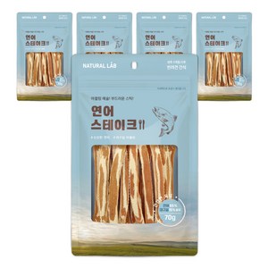 내츄럴랩 강아지 건강한육포 스테이크, 연어, 70g, 5개