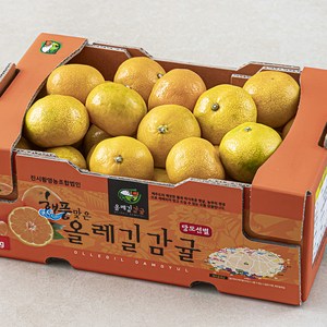 GAP 해풍맞은 올레길 Ai선별 당도선별 11brix 감귤, 2kg(로열과), 1개