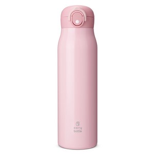 캐리보틀 베이직 보온 텀블러, 핑크, 750ml, 1개