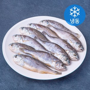 품질인증 초록바다 영광 굴비 (냉동), 1개, 650g(10미)