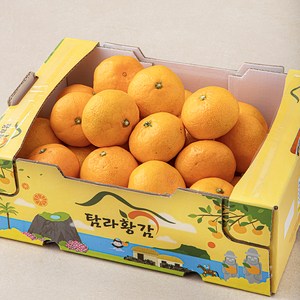 탐라황감 당도선별 감귤 10brix, 2kg(로열과), 1개