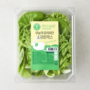 그린래빗 무농약 인증 유러피안 소프트믹스 샐러드, 100g, 1개