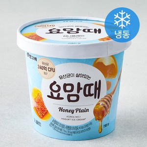 빙그레 요맘때 허니플레인 아이스크림 (냉동), 710ml, 1개