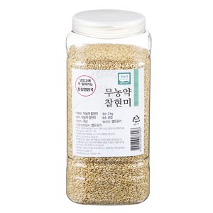 월드그린 싱싱영양통 무농약 현미, 2kg, 1개