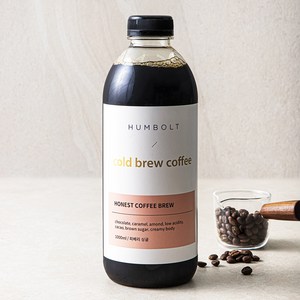 훔볼트 어니스트 피베리 싱글 콜드브루 커피, 1개, 1L