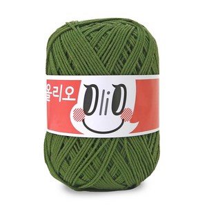 니뜨 올리오 뜨개실 70g, 포레스트, 1개