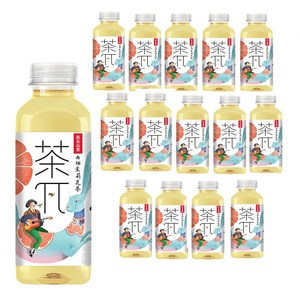 차파이 자몽차스민차, 15개, 500ml