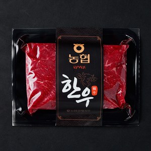 농협 한우 정육 1등급 불고기용 (냉장), 1개, 300g