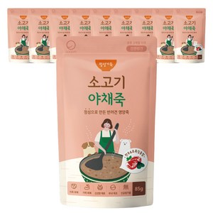 굿데이 정성 가득 반려견 영양죽 85g, 혼합맛(소고기/야채), 10개