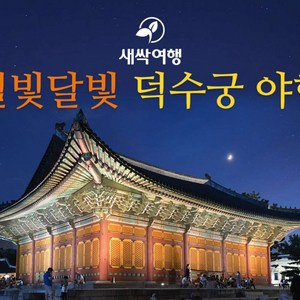 [서울] 별빛 달빛 덕수궁 야행(별달여행) 