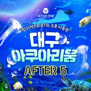 [대구] [대구] 대구아쿠아리움 AFTER 5