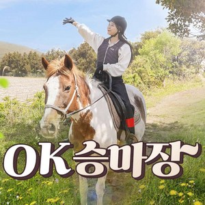 [제주] 제주 OK승마장