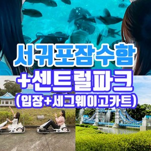 [제주] 서귀포잠수함+세그웨이고카트+센트럴파크