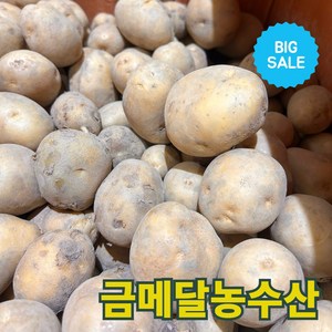 금메달농수산 25년 하우스 햇감자 수미감자, 1개, 3kg 특