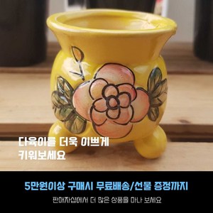 다육 다육화분 - 미니 4색 원형화분 4개세트 (화분사이즈-높이 7cm 입구-6.5cm), 2번- 노랑색, 1개