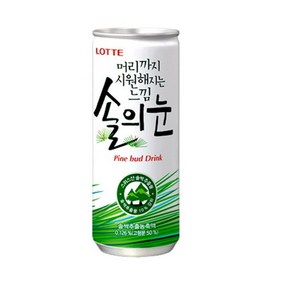 롯데칠성음료 머리까지 시원해지는 느낌 솔의눈, 240ml, 30개