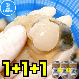 홍가리비 순살 가리비 제철, 1개, 400g+400g+400g