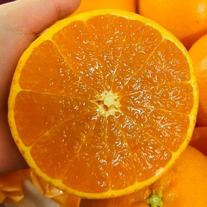 [초특가판매] 자연의선물 달콤한 못난이 카라향, 1개, 3kg