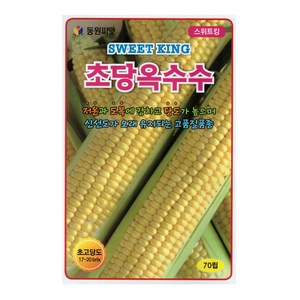 스위트초당 옥수수 씨앗/저온과 도복에 강하고 당도가 높으며 신선도가 오래 유지되는 옥수수//가람종묘사, 1개