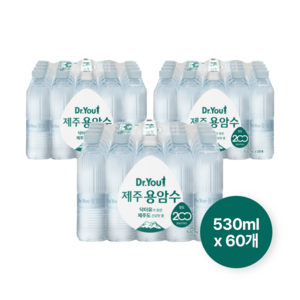 닥터유 제주 용암수 무라벨, 530ml, 60개