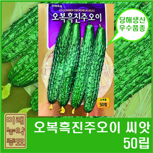 오복흑진주오이 씨앗 50립- 취청오이 깎아먹기 좋은 품종 당해생산 씨앗, 1개