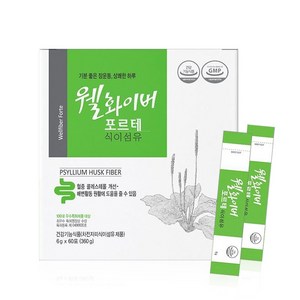 웰화이버 포르테 식이섬유 60포/토모웰화이버/식이섬유, 360g, 1개