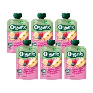 Oganix food 퓨레 오가닉스 유기농 고영양 이유식, 오트밀, 사과, 바나나, 라즈베리&블루베리, 100g, 6개