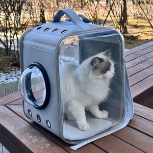 아이펫스맘 고양이 백팩 강아지 이동장 반려동물, 1개, 그레이