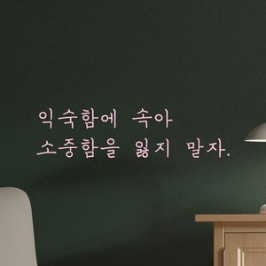 모노먼트 손글씨 감성 레터링 스티커 - 익숙함에 속아 소중함을 잃지 말자, 연핑크