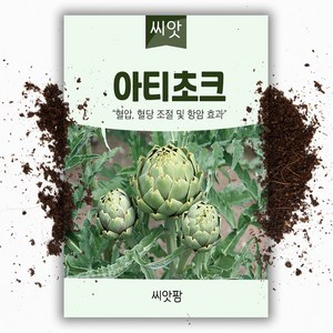 씨앗팜 아티초크 씨앗 (5g) 아티쵸크 아티소 종자, 1개