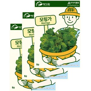 아시아종묘 씨앗 모링가 5g 3ea, 3개