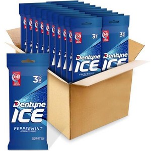 Dentyne 아이스 페퍼민트 무설탕 껌 16개 60팩 총 960개, 1) 페퍼민트 - 48 Count (Pack of 20