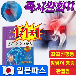 [일본기술] 류마티스 관절염 근육통 파스 허리 디스크 고관절 요추 좌골 통증 완화 패치 무릎 발 목 엉덩이 관절 신경통 증상 치료 방법, 2세트, 12개입