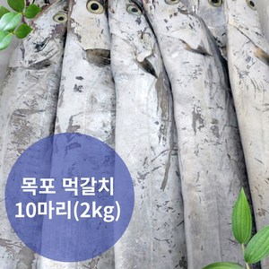 목포 갈치 생물 먹갈치 가정용(5~6마리 1.4kg), 1개