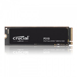 마이크론 Cucial P310 M.2 NVMe 아스크텍, 500GB