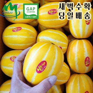 성주 참외 산지직송/당일수확 비파괴 당도선별 (가정용 랜덤과 소과 중과 대과) (정품 중과) 2kg 3kg 5kg 10kg, 1개, 2. 소과 2kg