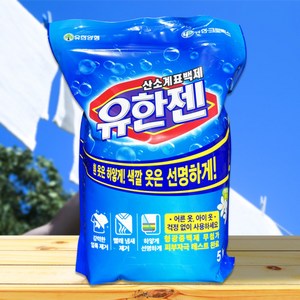 유한양행 유한젠 분말형 표백제 가드니아향, 5kg, 1개