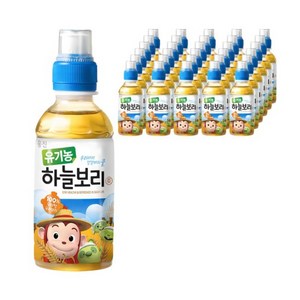 웅진 유기농 하늘보리차, 보리, 200ml, 24개